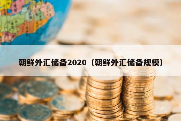 朝鲜外汇储备2020（朝鲜外汇储备规模）