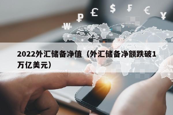 2022外汇储备净值（外汇储备净额跌破1万亿美元）