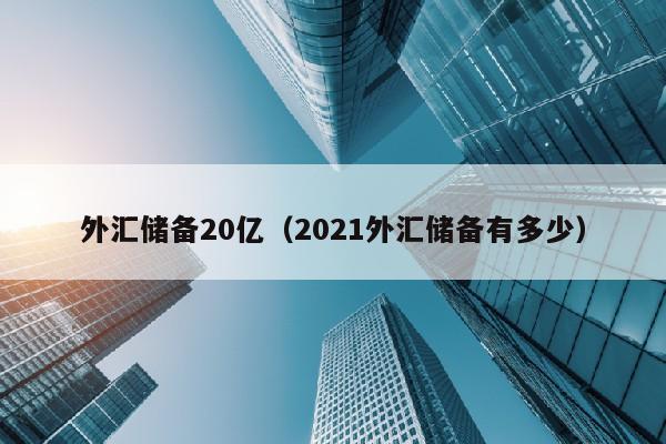 外汇储备20亿（2021外汇储备有多少）