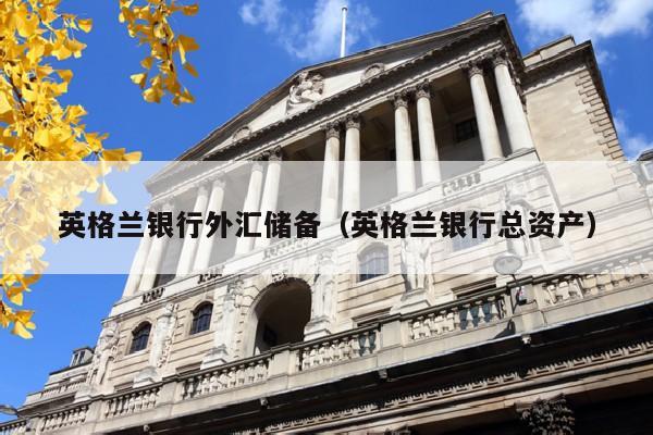 英格兰银行外汇储备（英格兰银行总资产）