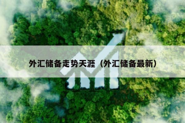 外汇储备走势天涯（外汇储备最新）