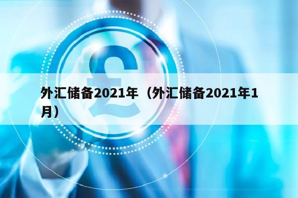 外汇储备2021年（外汇储备2021年1月）