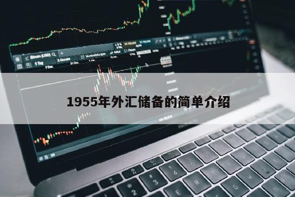 1955年外汇储备的简单介绍