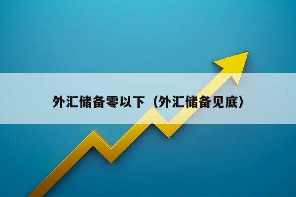 外汇储备零以下（外汇储备见底）