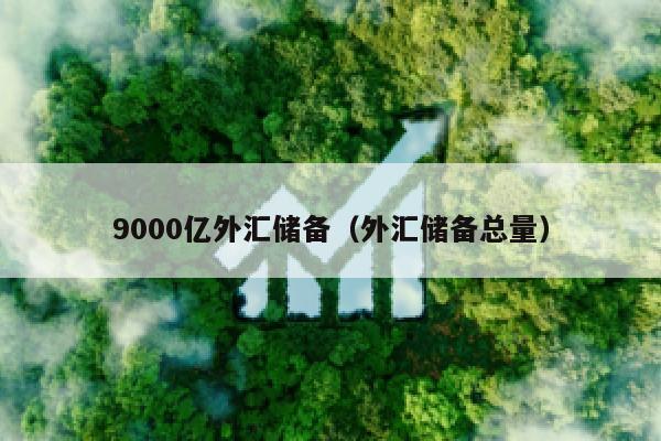 9000亿外汇储备（外汇储备总量）