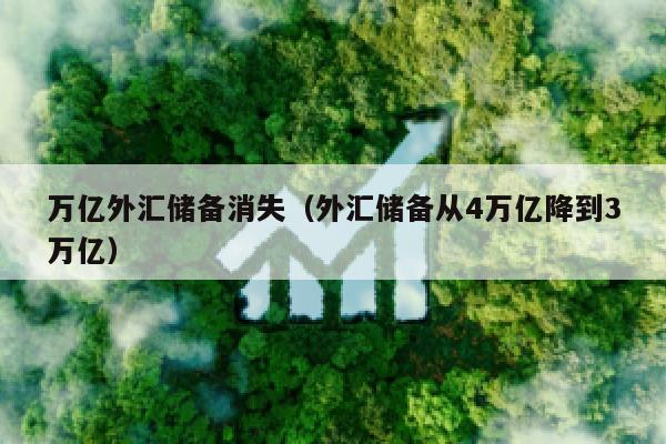 万亿外汇储备消失（外汇储备从4万亿降到3万亿）