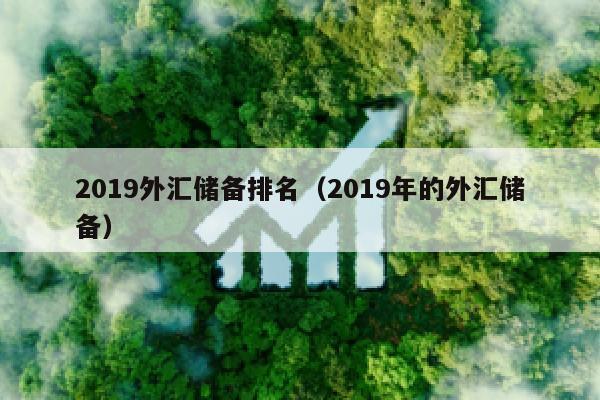 2019外汇储备排名（2019年的外汇储备）