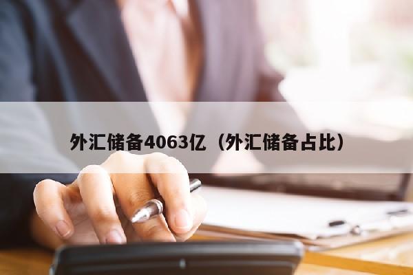 外汇储备4063亿（外汇储备占比）