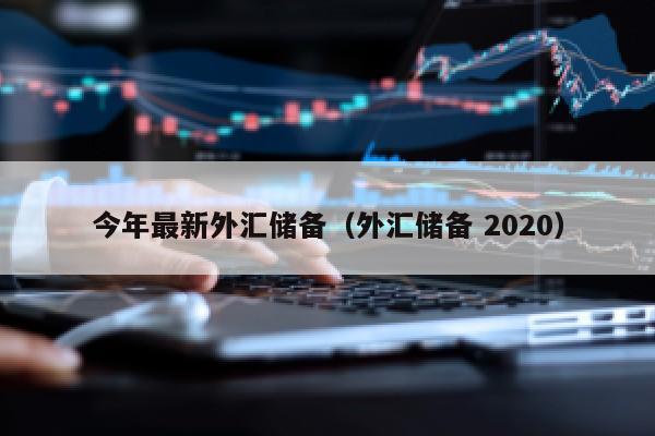 今年最新外汇储备（外汇储备 2020）