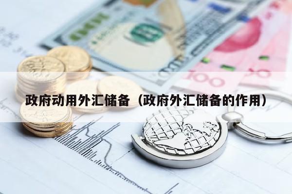 政府动用外汇储备（政府外汇储备的作用）