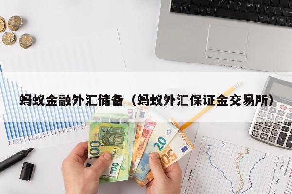 蚂蚁金融外汇储备（蚂蚁外汇保证金交易所）