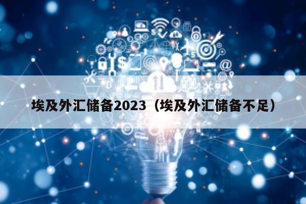 埃及外汇储备2023（埃及外汇储备不足）