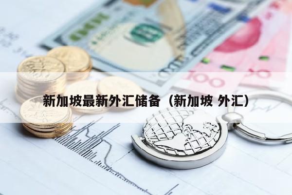 新加坡最新外汇储备（新加坡 外汇）