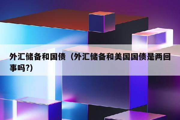 外汇储备和国债（外汇储备和美国国债是两回事吗?）