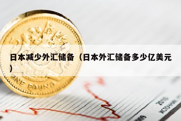 日本减少外汇储备（日本外汇储备多少亿美元）