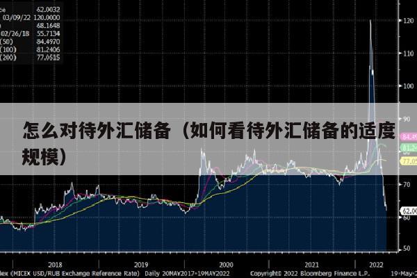 怎么对待外汇储备（如何看待外汇储备的适度规模）