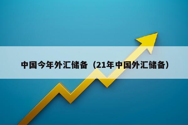 中国今年外汇储备（21年中国外汇储备）