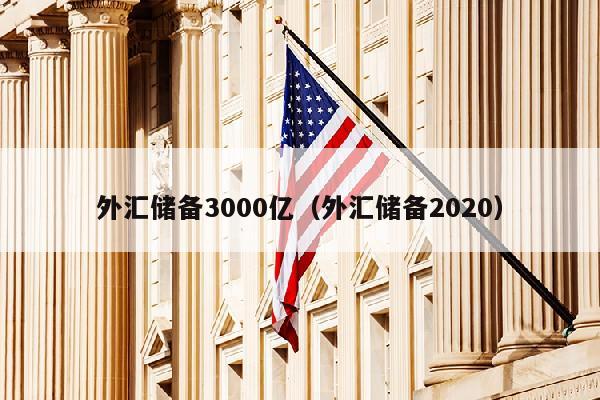 外汇储备3000亿（外汇储备2020）