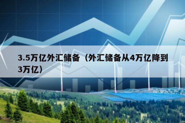 3.5万亿外汇储备（外汇储备从4万亿降到3万亿）