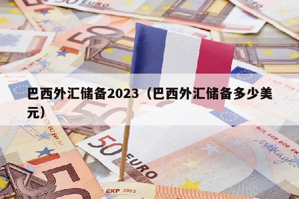 巴西外汇储备2023（巴西外汇储备多少美元）