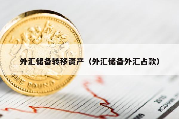 外汇储备转移资产（外汇储备外汇占款）