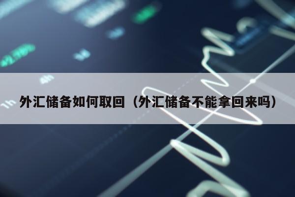 外汇储备如何取回（外汇储备不能拿回来吗）