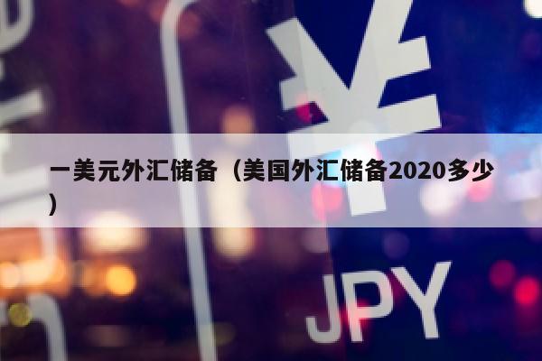 一美元外汇储备（美国外汇储备2020多少）