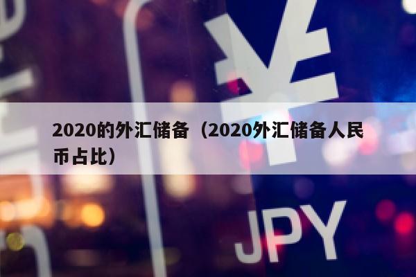 2020的外汇储备（2020外汇储备人民币占比）