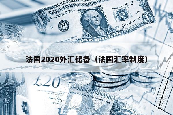 法国2020外汇储备（法国汇率制度）