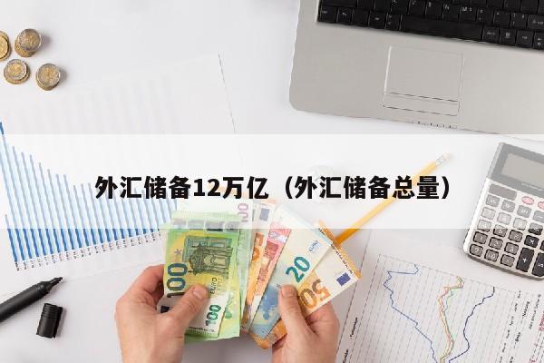 外汇储备12万亿（外汇储备总量）