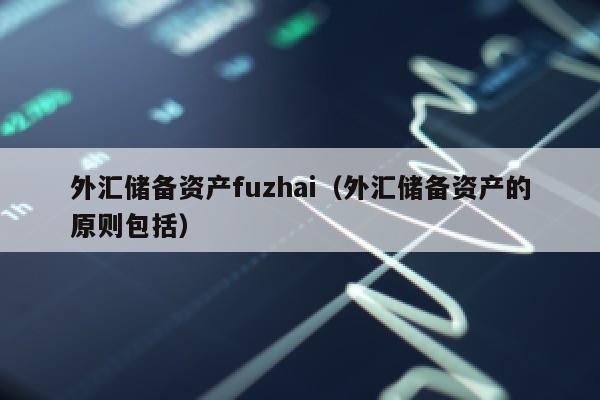 外汇储备资产fuzhai（外汇储备资产的原则包括）