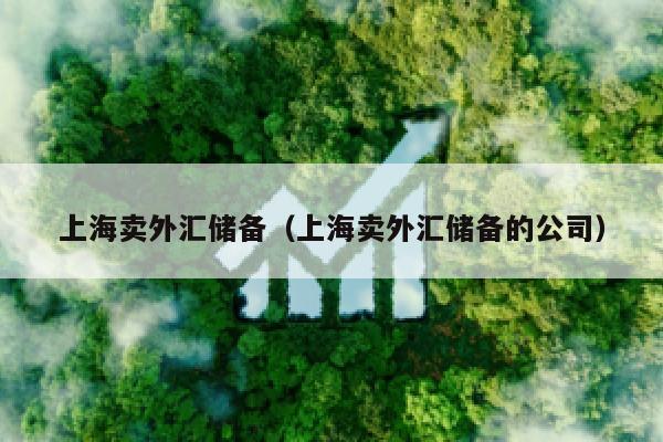 上海卖外汇储备（上海卖外汇储备的公司）