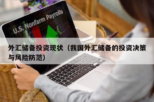 外汇储备投资现状（我国外汇储备的投资决策与风险防范）