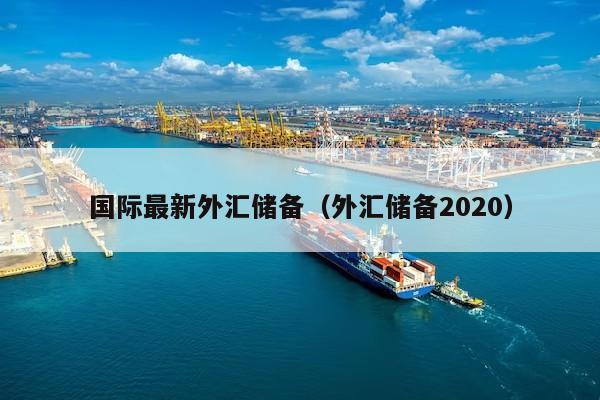 国际最新外汇储备（外汇储备2020）