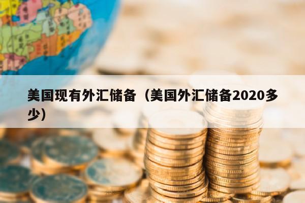 美国现有外汇储备（美国外汇储备2020多少）