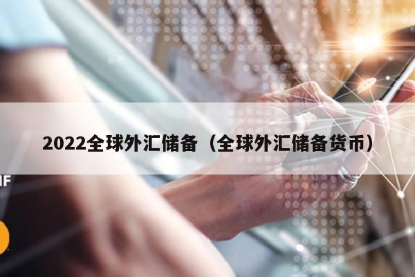 2022全球外汇储备（全球外汇储备货币）