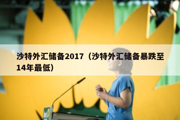 沙特外汇储备2017（沙特外汇储备暴跌至14年最低）