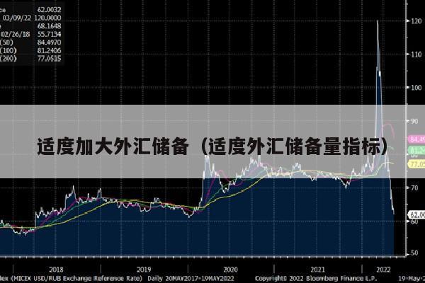 适度加大外汇储备（适度外汇储备量指标）