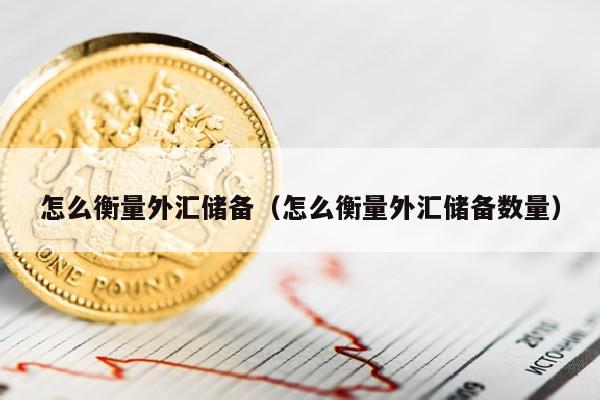 怎么衡量外汇储备（怎么衡量外汇储备数量）