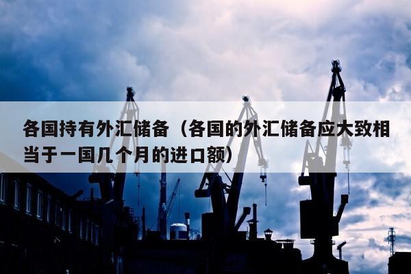 各国持有外汇储备（各国的外汇储备应大致相当于一国几个月的进口额）