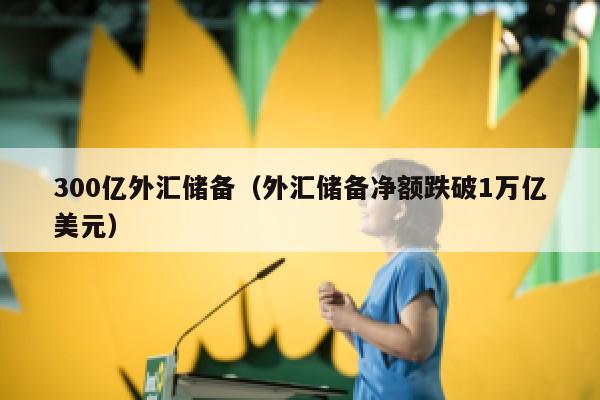 300亿外汇储备（外汇储备净额跌破1万亿美元）