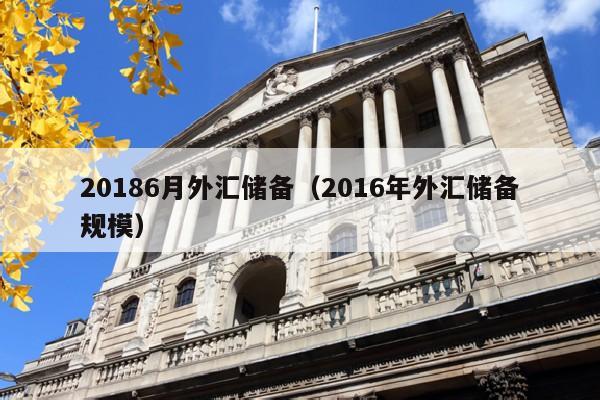 20186月外汇储备（2016年外汇储备规模）