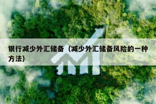 银行减少外汇储备（减少外汇储备风险的一种方法）