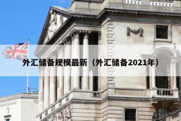 外汇储备规模最新（外汇储备2021年）