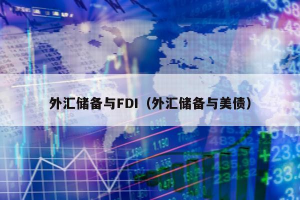 外汇储备与FDI（外汇储备与美债）