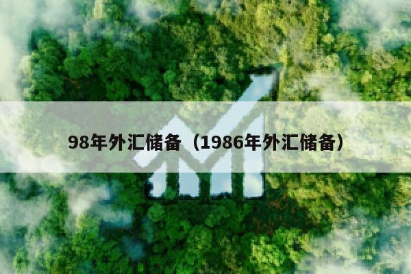 98年外汇储备（1986年外汇储备）