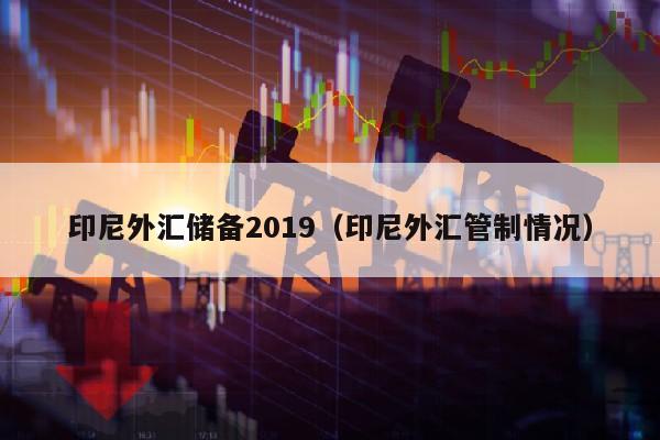 印尼外汇储备2019（印尼外汇管制情况）