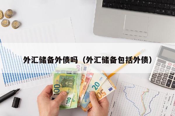 外汇储备外债吗（外汇储备包括外债）