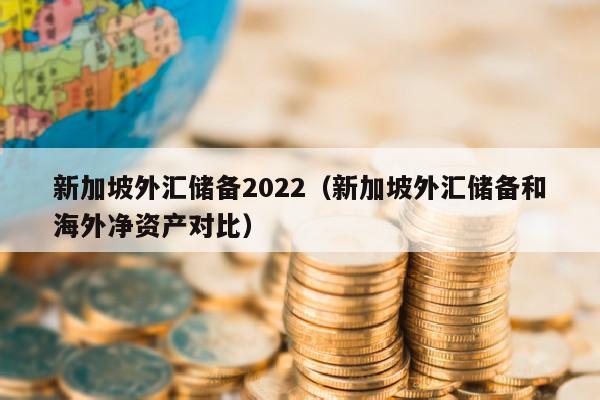 新加坡外汇储备2022（新加坡外汇储备和海外净资产对比）