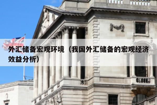 外汇储备宏观环境（我国外汇储备的宏观经济效益分析）